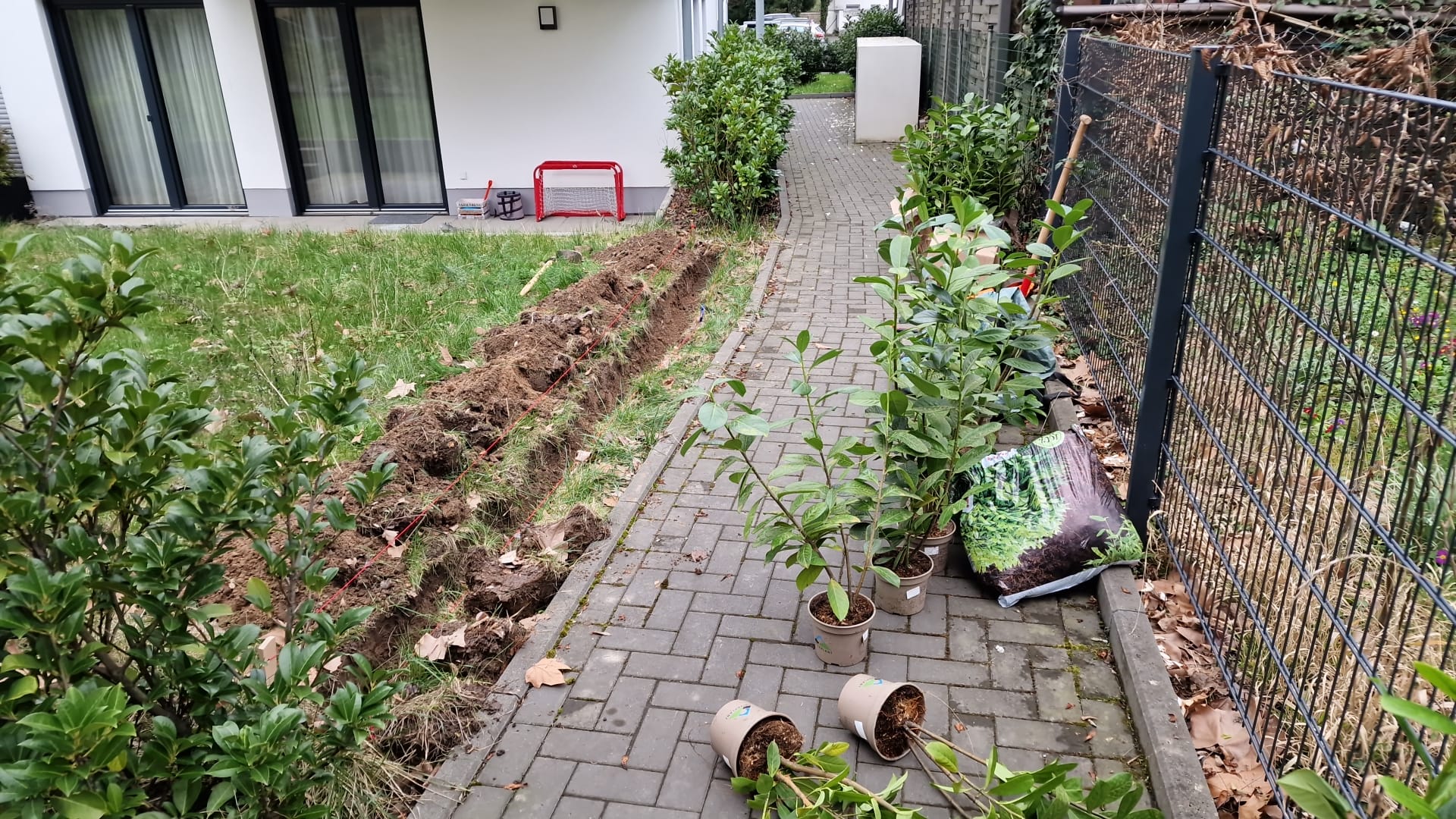 Pflanzen Einpflanzen Vorher
